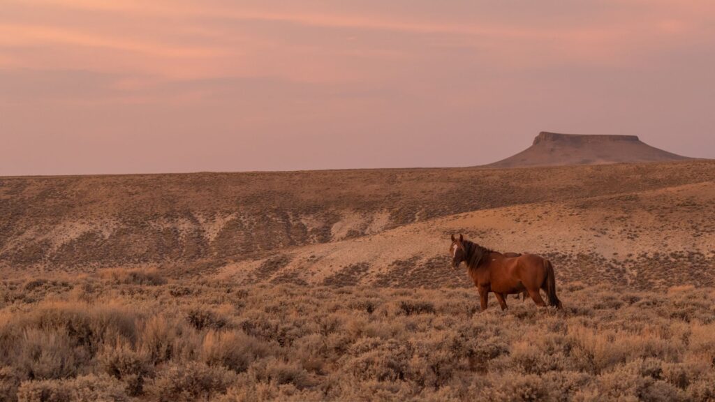 Carbon & Sweetwater Counties