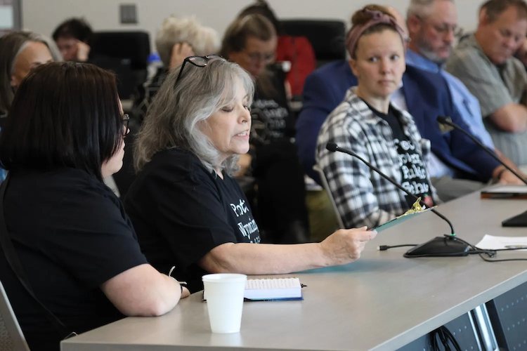 Retired Educator, Robyn Edwards, testifies in front of the Recalibration Committee