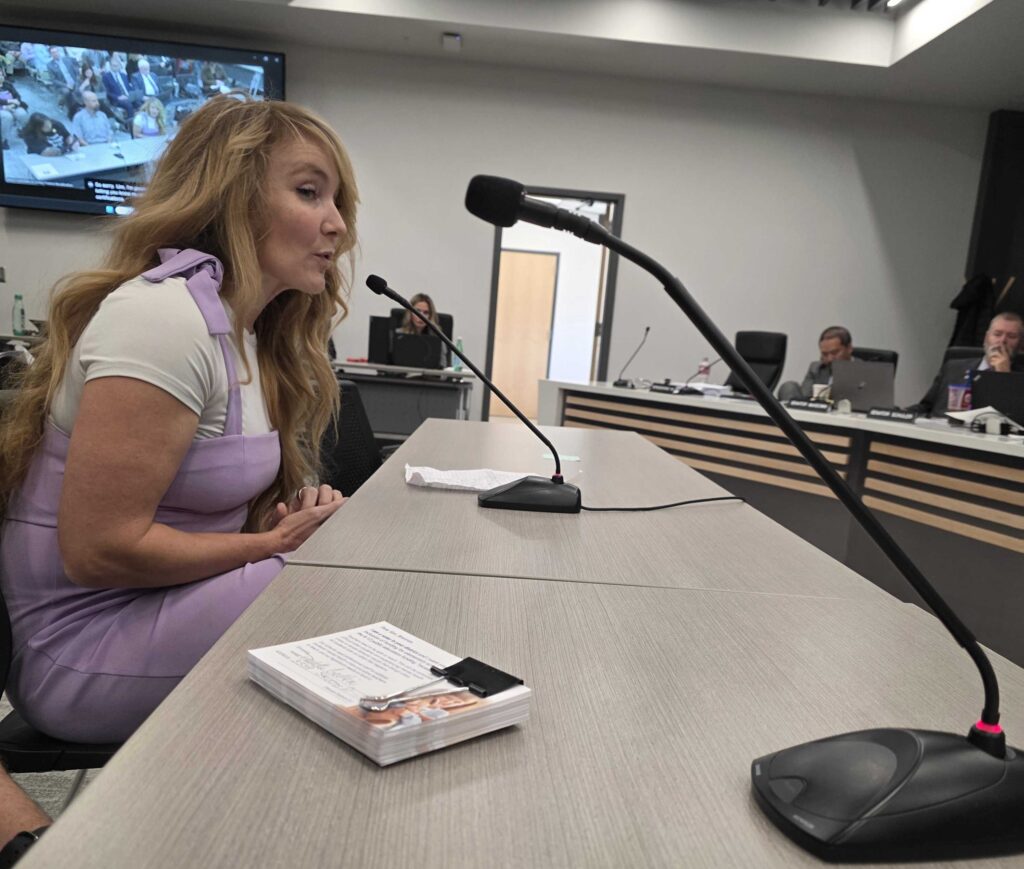 Librarian Lacey Wilson testifies in front the Recalibration Committee about the education benefits that highly qualified library staff provide.