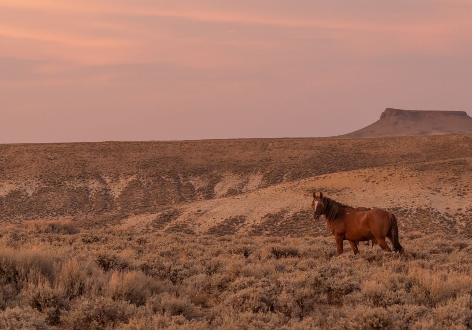 Carbon & Sweetwater Counties