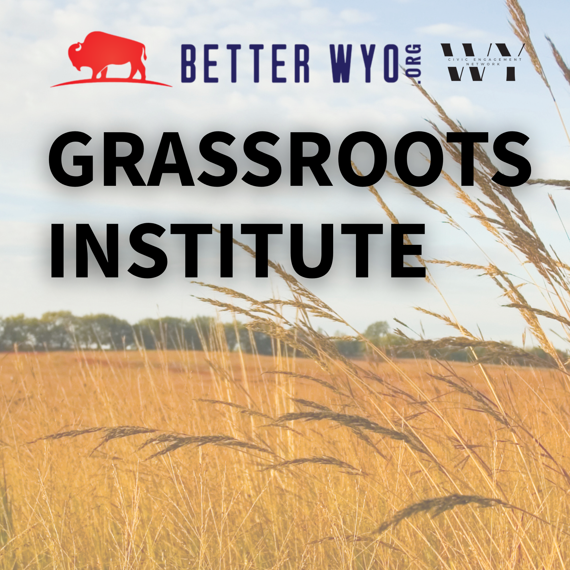 Grassroots Institute