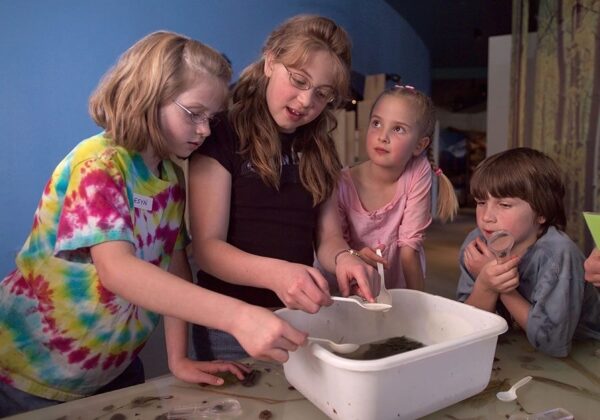 School kids doing a science lab